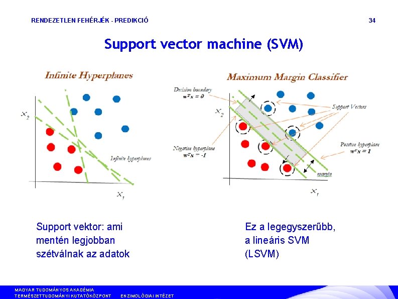 RENDEZETLEN FEHÉRJÉK - PREDIKCIÓ 34 Support vector machine (SVM) Support vektor: ami mentén legjobban
