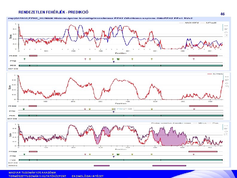 RENDEZETLEN FEHÉRJÉK - PREDIKCIÓ MAGYAR TUDOMÁNYOS AKADÉMIA TERMÉSZETTUDOMÁNYI KUTATÓKÖZPONT ANYAG- ÉS KÖRNYEZETKÉMIAI INTÉZET ENZIMOLÓGIAI