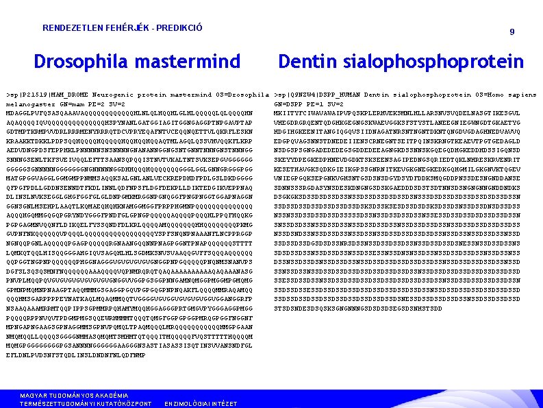 RENDEZETLEN FEHÉRJÉK - PREDIKCIÓ Drosophila mastermind >sp|P 21519|MAM_DROME Neurogenic protein mastermind OS=Drosophila melanogaster GN=mam