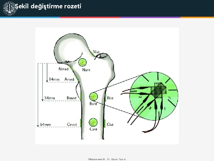 Şekil değiştirme rozeti Mukavemet II - Dr. Rasim Temür 