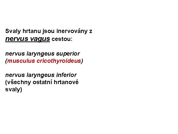 Svaly hrtanu jsou inervovány z nervus vagus cestou: nervus laryngeus superior (musculus cricothyroideus) nervus