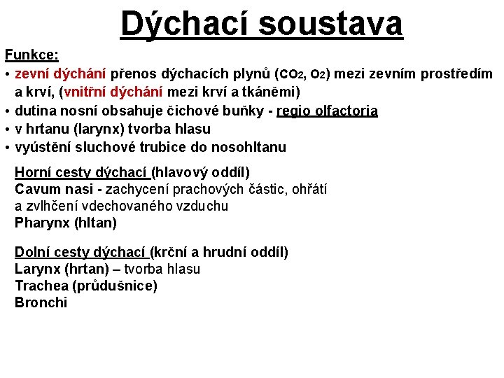 Dýchací soustava Funkce: • zevní dýchání přenos dýchacích plynů (CO 2, O 2) mezi