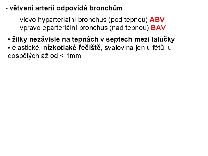  • větvení arterií odpovídá bronchům vlevo hyparteriální bronchus (pod tepnou) ABV vpravo eparteriální