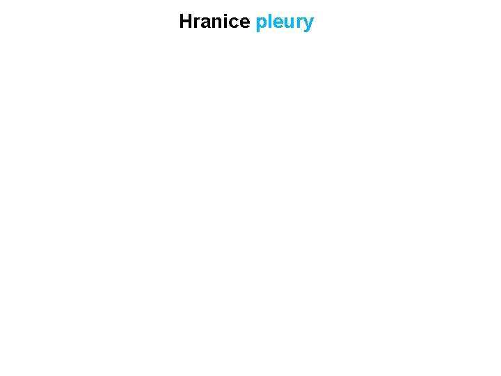 Hranice pleury 