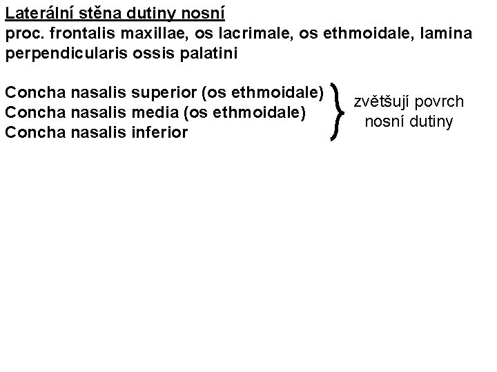 Laterální stěna dutiny nosní proc. frontalis maxillae, os lacrimale, os ethmoidale, lamina perpendicularis ossis
