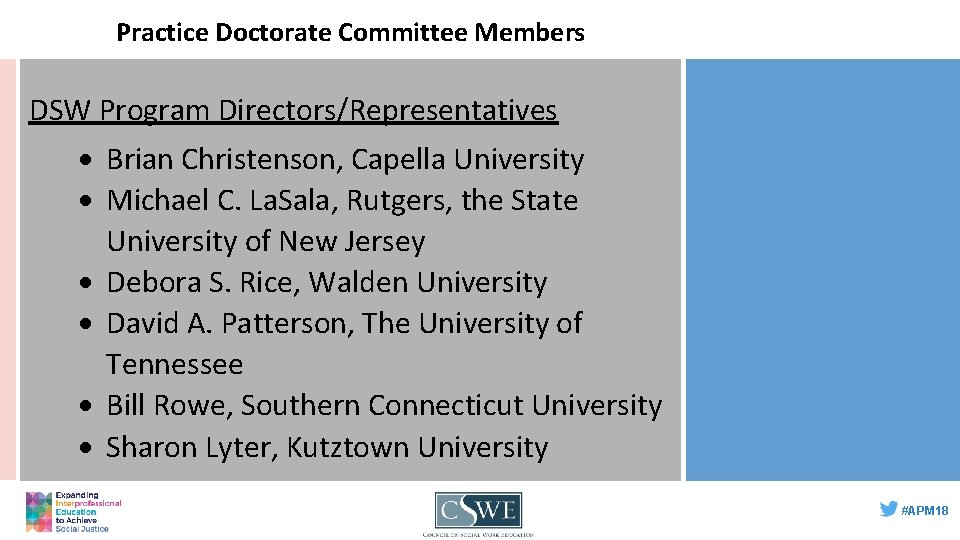 Practice Doctorate Committee Members DSW Program Directors/Representatives Brian Christenson, Capella University Michael C. La.