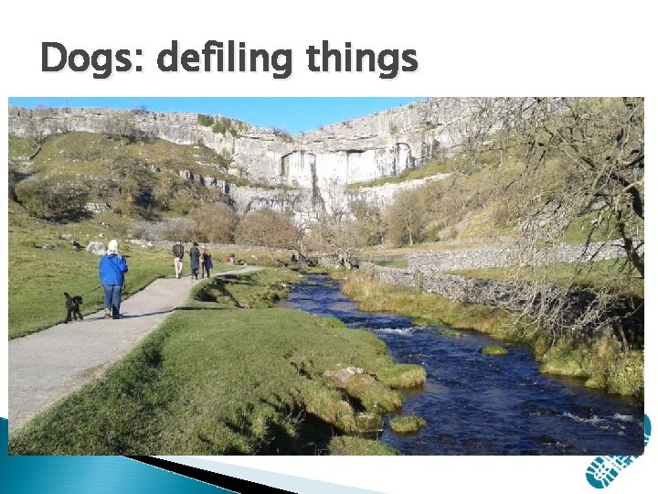 Dogs: defiling things Dogs: defiling things