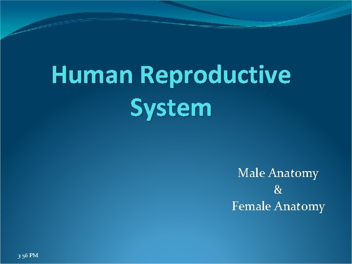 Human Reproductive System Male Anatomy Female Anatomy 3