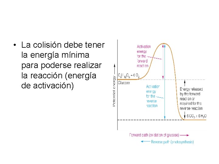 • La colisión debe tener la energía mínima para poderse realizar la reacción • La colisión debe tener la energía mínima para poderse realizar la reacción