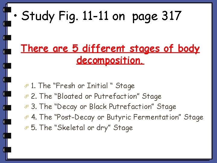  • Study Fig. 11 -11 on page 317 There are 5 different stages