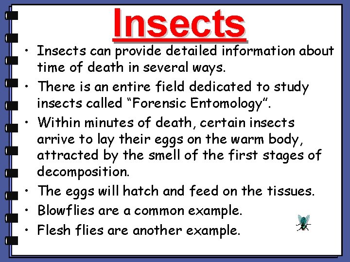 Insects • Insects can provide detailed information about time of death in several ways.