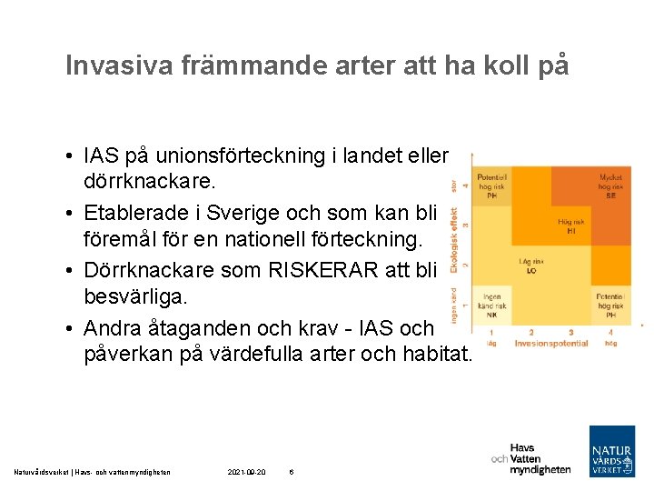 Invasiva främmande arter att ha koll på • IAS på unionsförteckning i landet eller