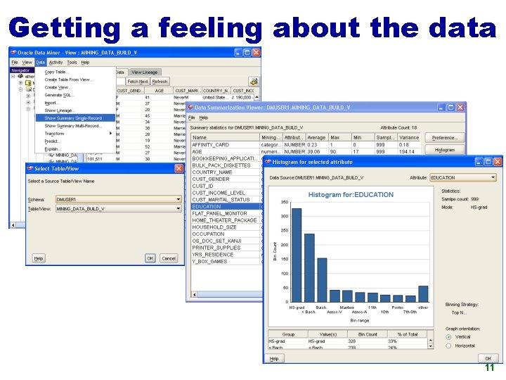 Getting a feeling about the data 11 