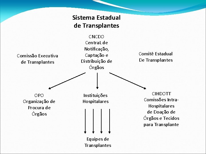 Sistema Estadual de Transplantes Comissão Executiva de Transplantes OPO Organização de Procura de Órgãos