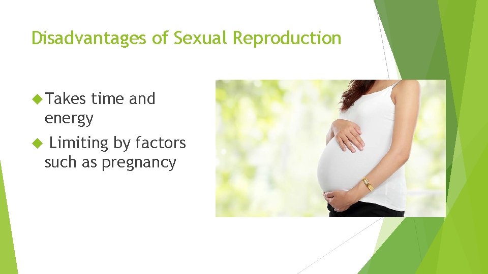 Disadvantages of Sexual Reproduction Takes time and energy Limiting by factors such as pregnancy Disadvantages of Sexual Reproduction Takes time and energy Limiting by factors such as pregnancy