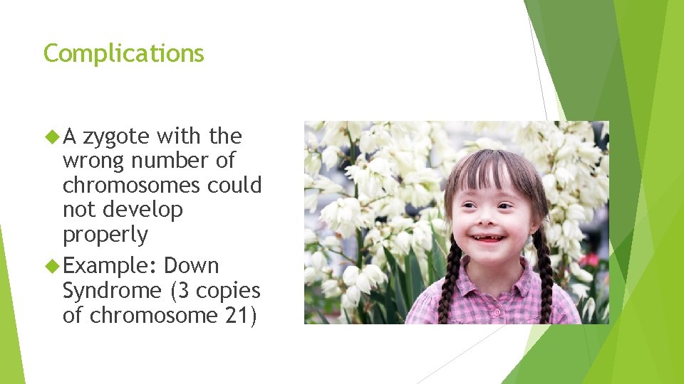 Complications A zygote with the wrong number of chromosomes could not develop properly Example: Complications A zygote with the wrong number of chromosomes could not develop properly Example: