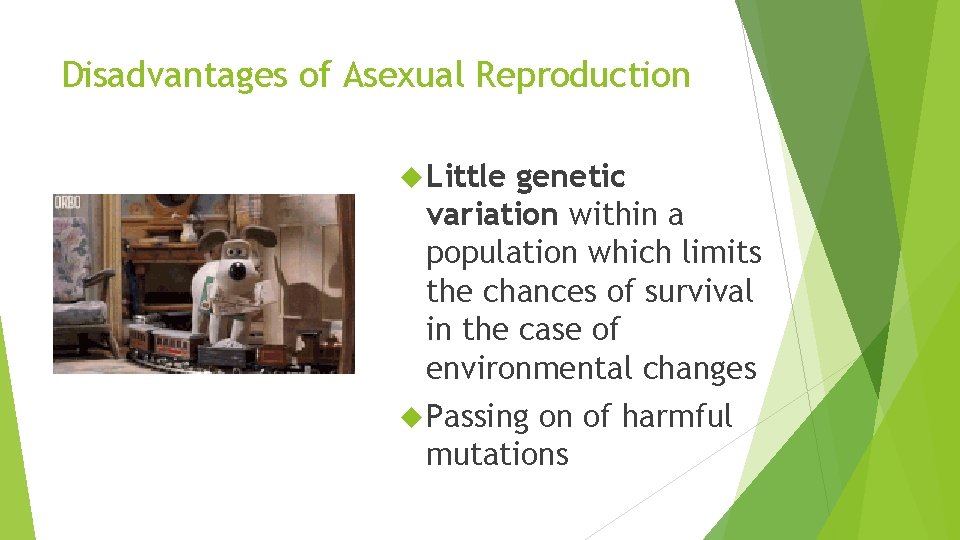 Disadvantages of Asexual Reproduction Little genetic variation within a population which limits the chances Disadvantages of Asexual Reproduction Little genetic variation within a population which limits the chances