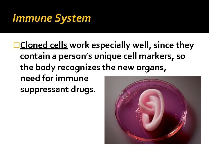 Immune System �Cloned cells work especially well, since they contain a person’s unique cell