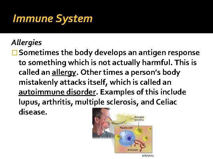 Immune System Allergies � Sometimes the body develops an antigen response to something which