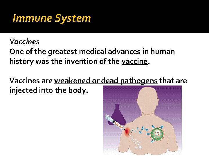 Immune System Vaccines One of the greatest medical advances in human history was the