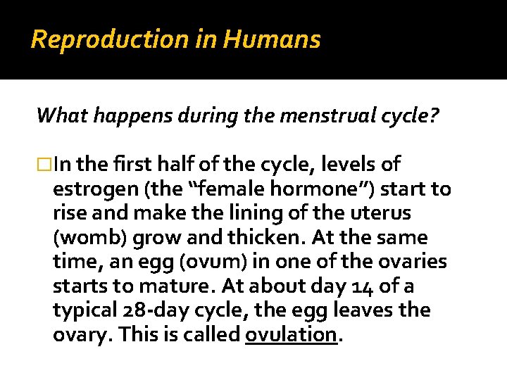 Reproduction in Humans What happens during the menstrual cycle? �In the first half of