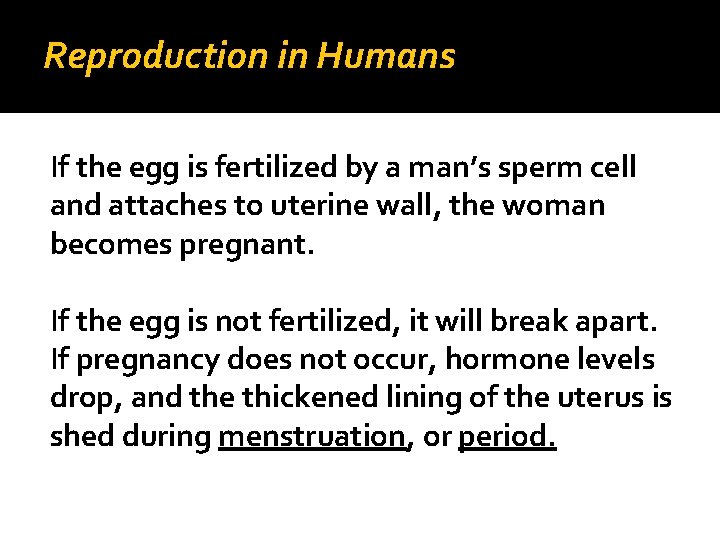 Reproduction in Humans If the egg is fertilized by a man’s sperm cell and