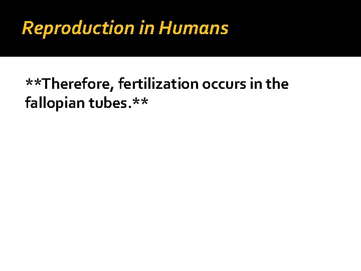 Reproduction in Humans **Therefore, fertilization occurs in the fallopian tubes. ** 