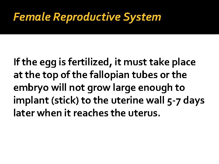 Female Reproductive System If the egg is fertilized, it must take place at the