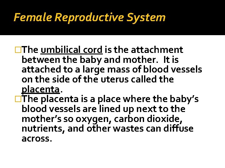 Female Reproductive System �The umbilical cord is the attachment between the baby and mother.