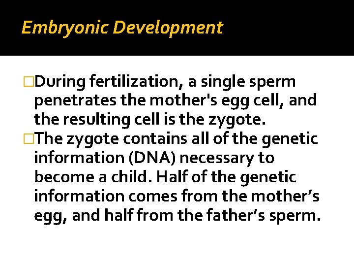 Embryonic Development �During fertilization, a single sperm penetrates the mother's egg cell, and the