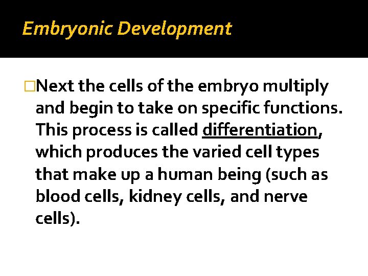 Embryonic Development �Next the cells of the embryo multiply and begin to take on