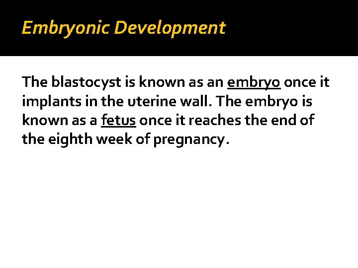 Embryonic Development The blastocyst is known as an embryo once it implants in the