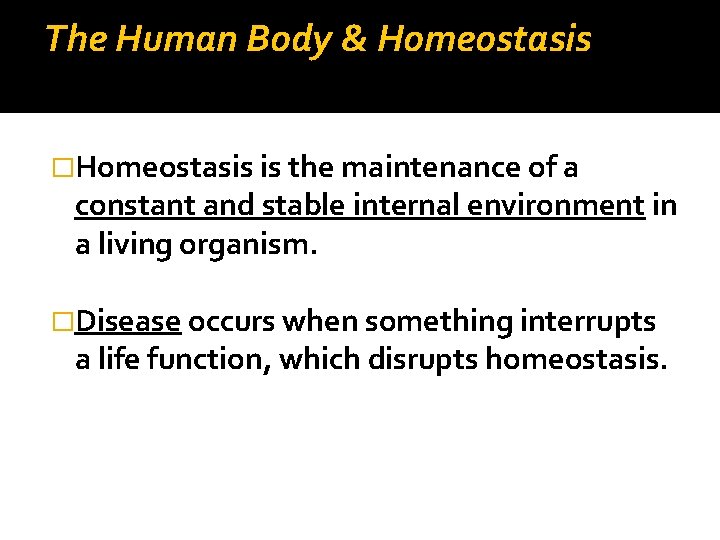 The Human Body & Homeostasis �Homeostasis is the maintenance of a constant and stable