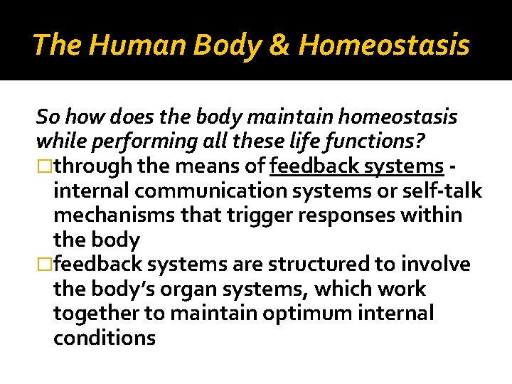 The Human Body & Homeostasis So how does the body maintain homeostasis while performing