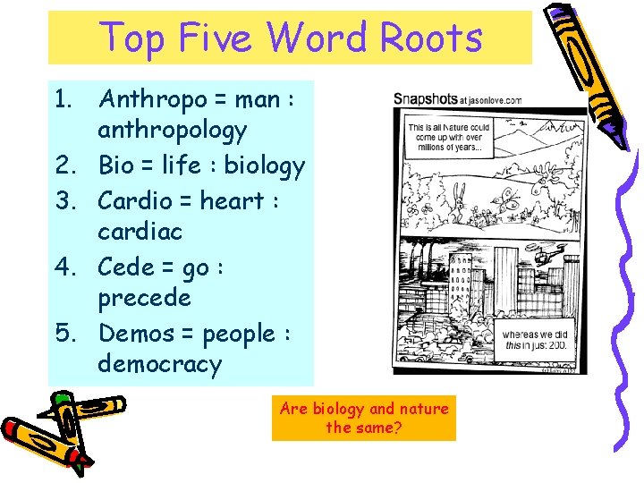 Top Five Word Roots 1. Anthropo = man : anthropology 2. Bio = life