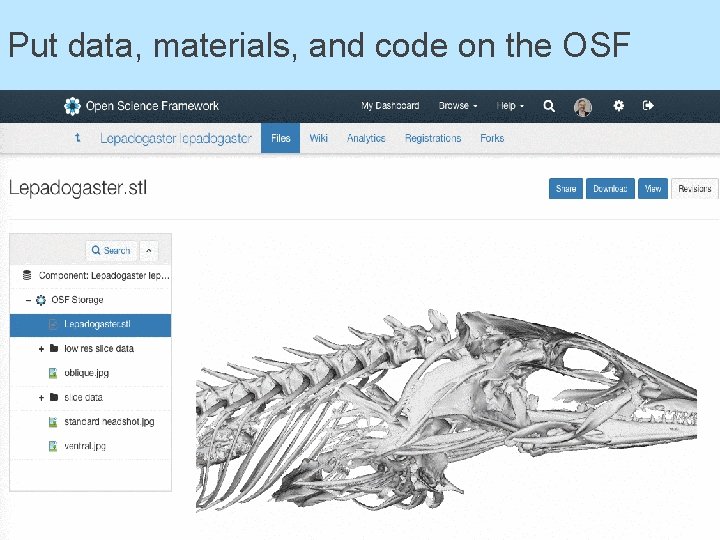 Put data, materials, and code on the OSF 