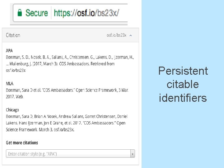 Persistent citable identifiers 