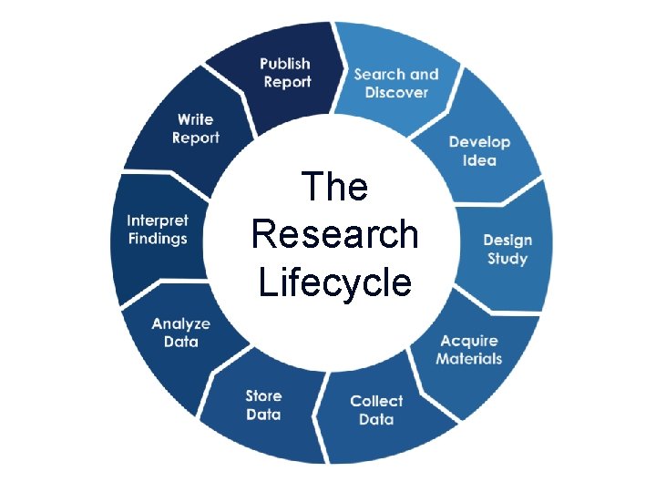 The Research Lifecycle 