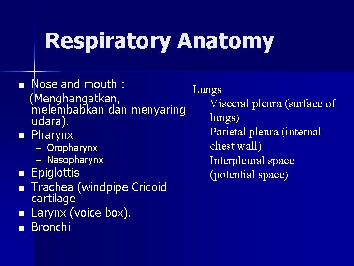 Respiratory Anatomy n n n Nose and mouth : Lungs (Menghangatkan, Visceral pleura (surface