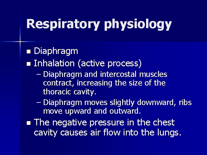 Respiratory physiology Diaphragm n Inhalation (active process) n – Diaphragm and intercostal muscles contract,