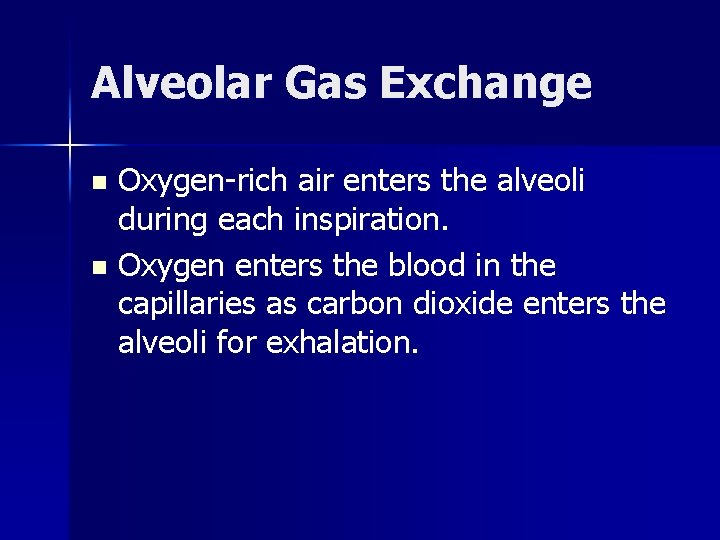 Alveolar Gas Exchange Oxygen-rich air enters the alveoli during each inspiration. n Oxygen enters