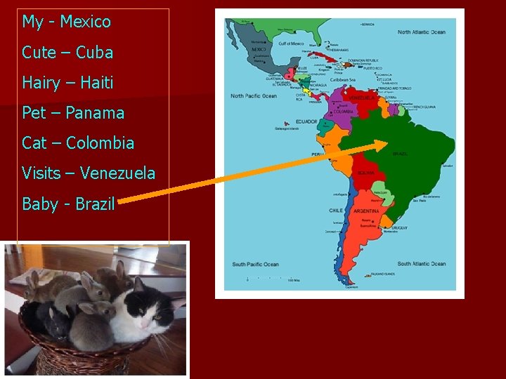 My - Mexico Cute – Cuba Hairy – Haiti Pet – Panama Cat –