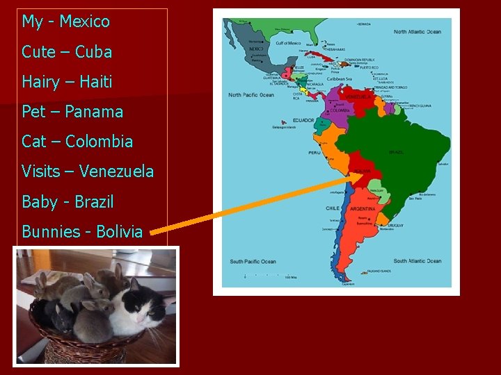 My - Mexico Cute – Cuba Hairy – Haiti Pet – Panama Cat –