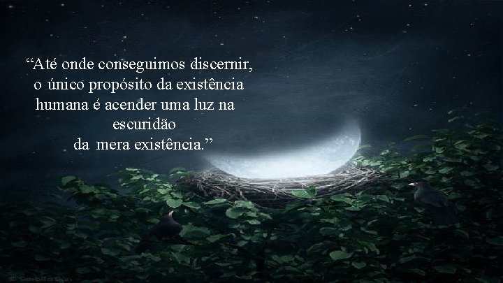 “Até onde conseguimos discernir, o único propósito da existência humana é acender uma luz