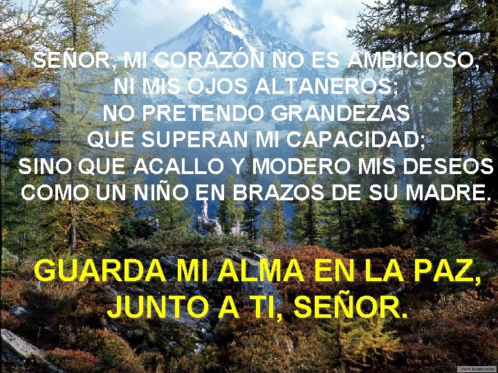 SEÑOR, MI CORAZÓN NO ES AMBICIOSO, NI MIS OJOS ALTANEROS; NO PRETENDO GRANDEZAS QUE