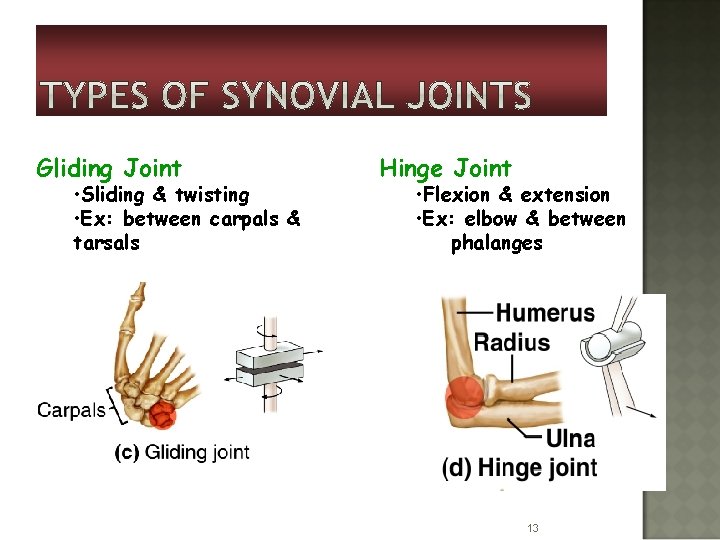 Gliding Joint • Sliding & twisting • Ex: between carpals & tarsals Hinge Joint