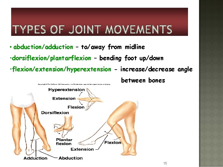  • abduction/adduction – to/away from midline • dorsiflexion/plantarflexion – bending foot up/down •