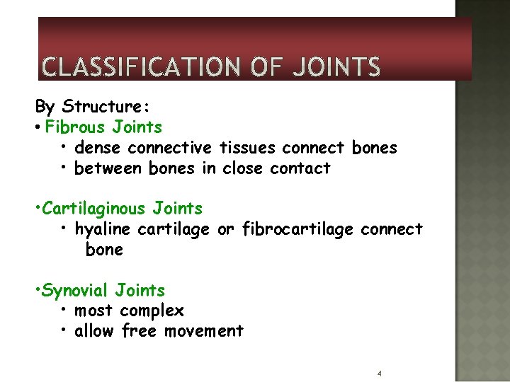 By Structure: • Fibrous Joints • dense connective tissues connect bones • between bones