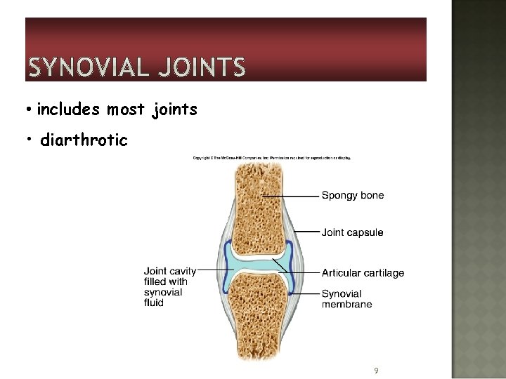  • includes most joints • diarthrotic 9 