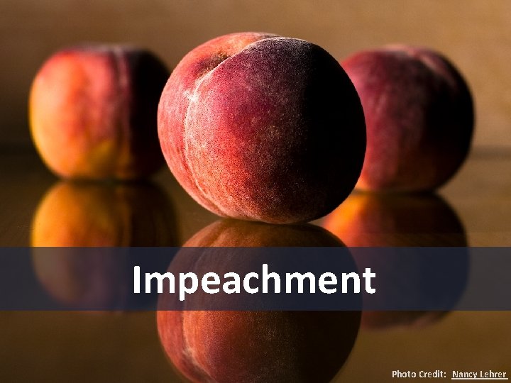 Impeachment Photo Credit: Nancy Lehrer 